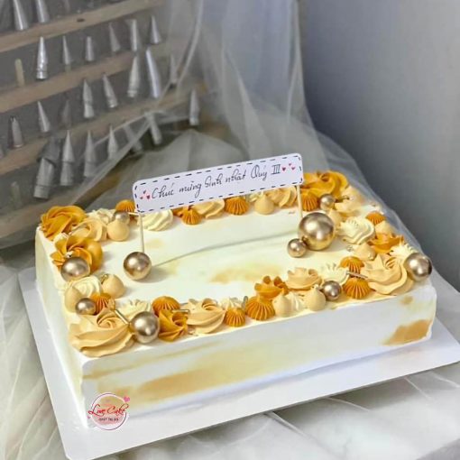 Bánh sinh nhật cho công ty